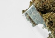 THCP flowers