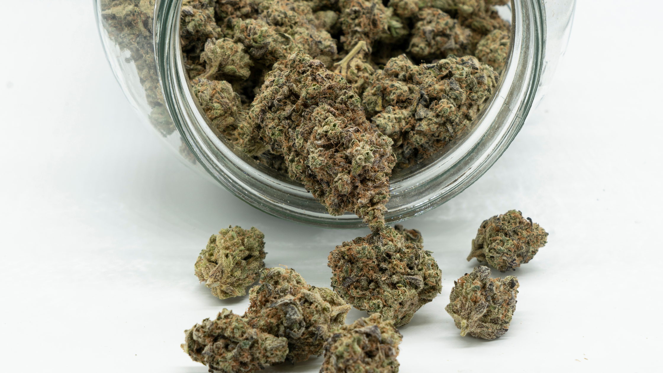Achat CBD professionnels : comment réussir son achat de CBD en gros