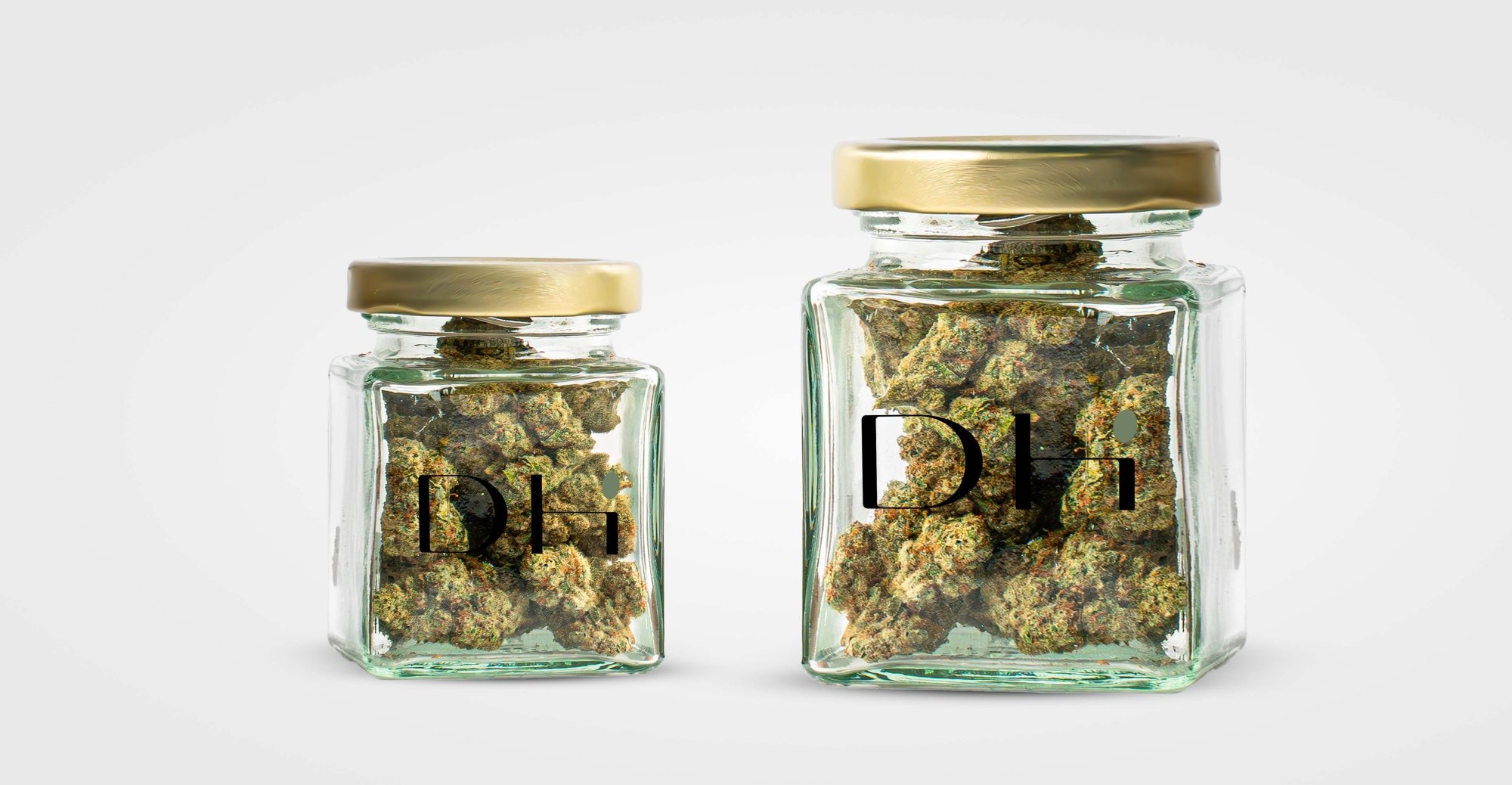 Stockage et conservation des produits CBD pour revendeurs