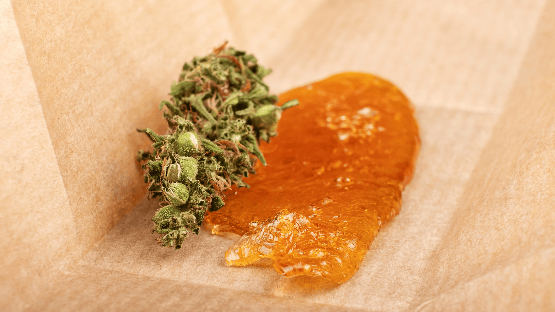 Extraction CBD : les critères essentiels pour choisir des références fiables en 2026