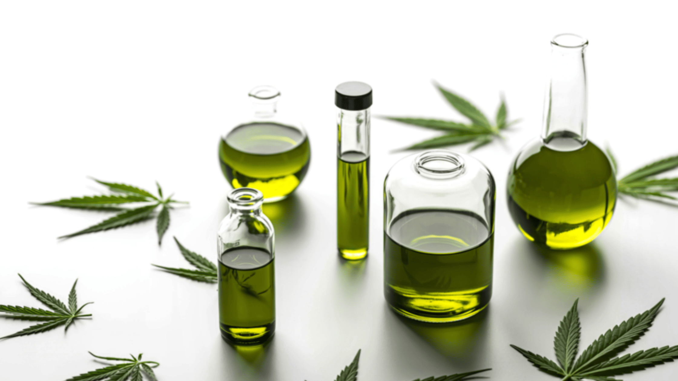 Grossistes CBD : trouver le bon fournisseur CBD pour votre shop
