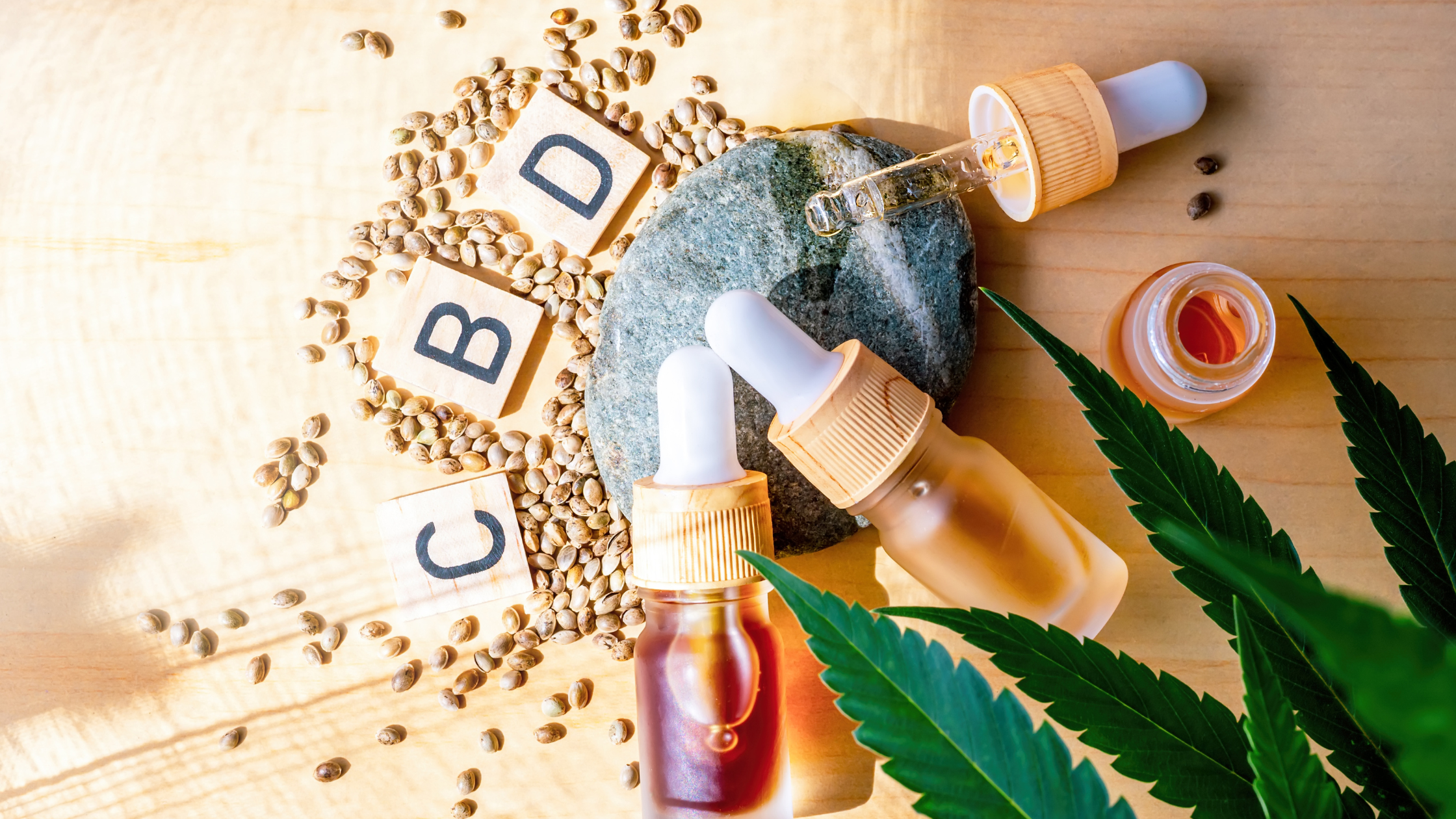 Extraction CBD en Europe : choisir un grossiste CBD fiable