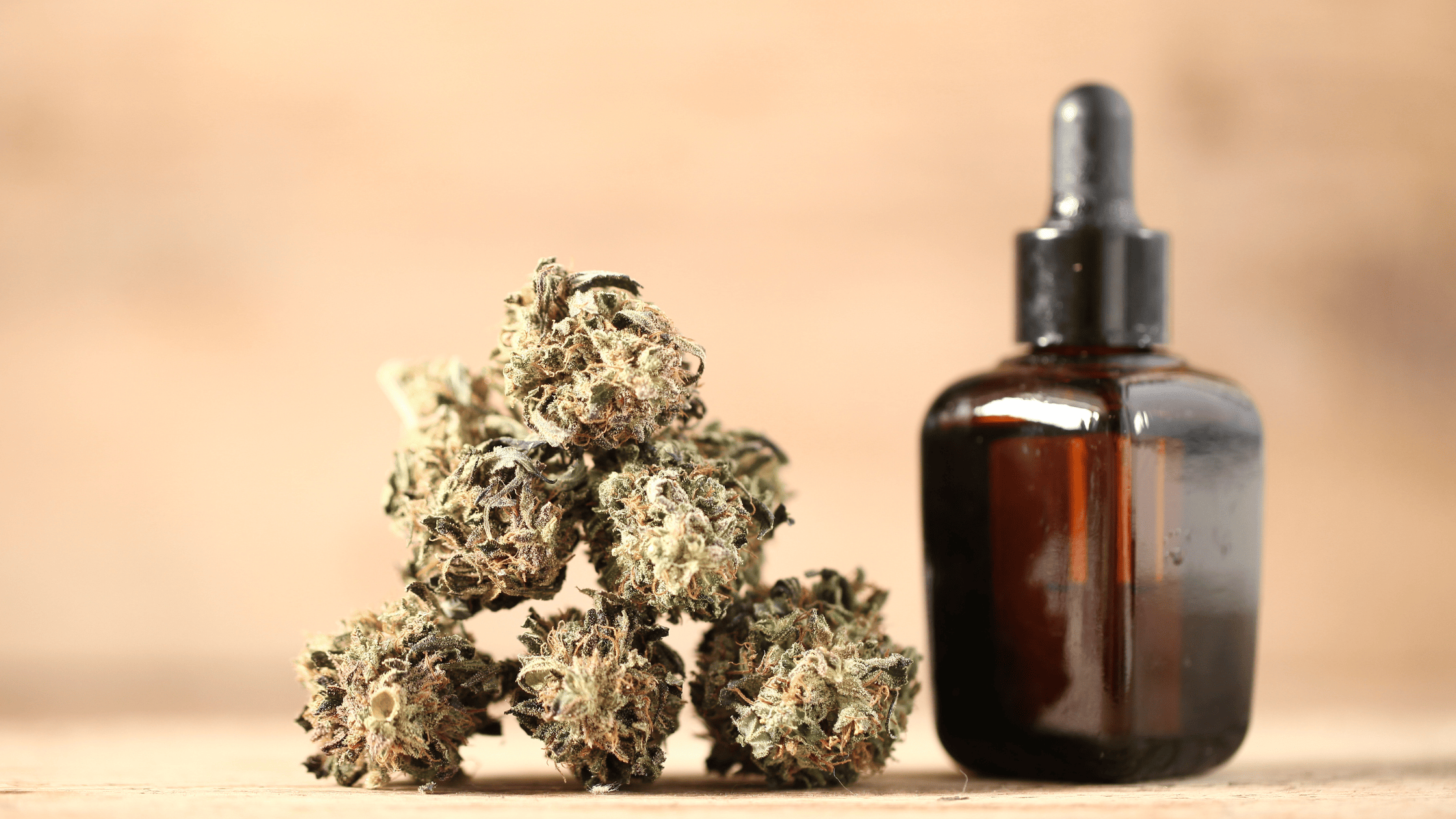 Fleurs CBD small bud en gros