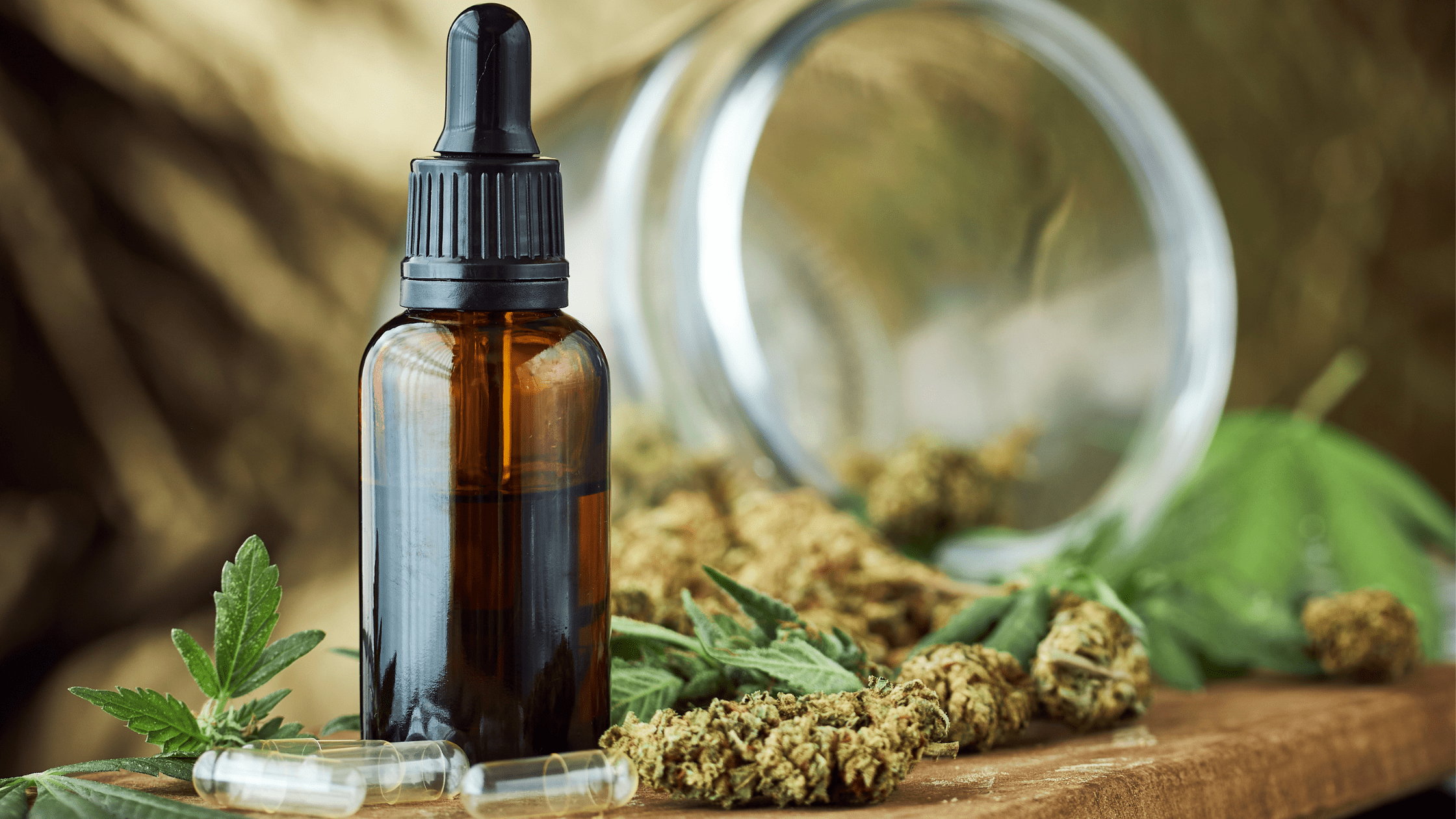 Comment devenir revendeur CBD ? Le guide complet pour professionnels