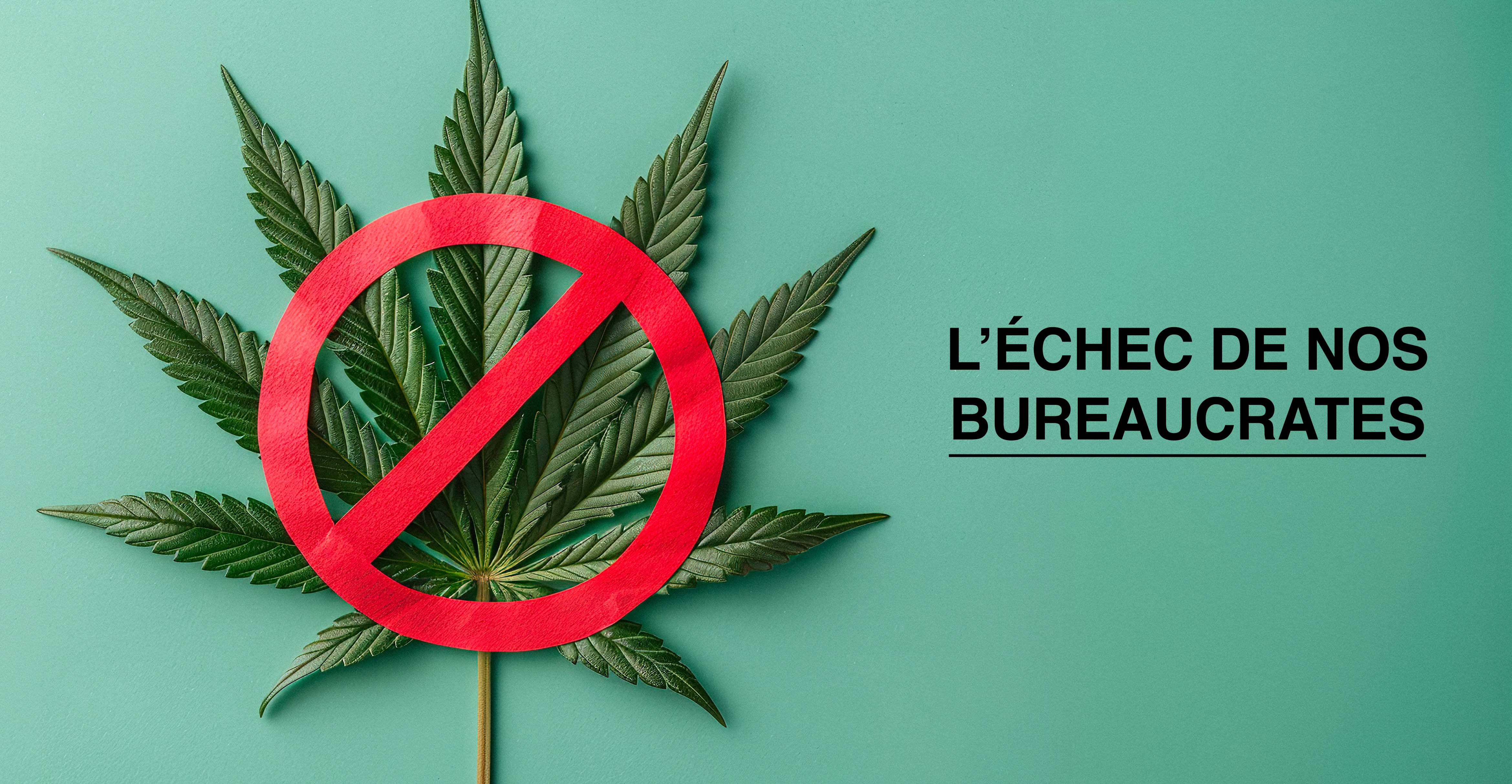 Ce que le rapport SSMSI 2025 change pour les boutiques et pros du CBD