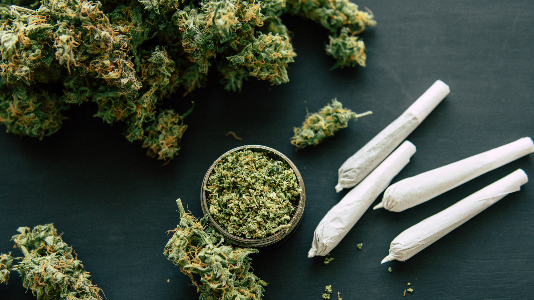 Où acheter des fleurs CBD en gros ?