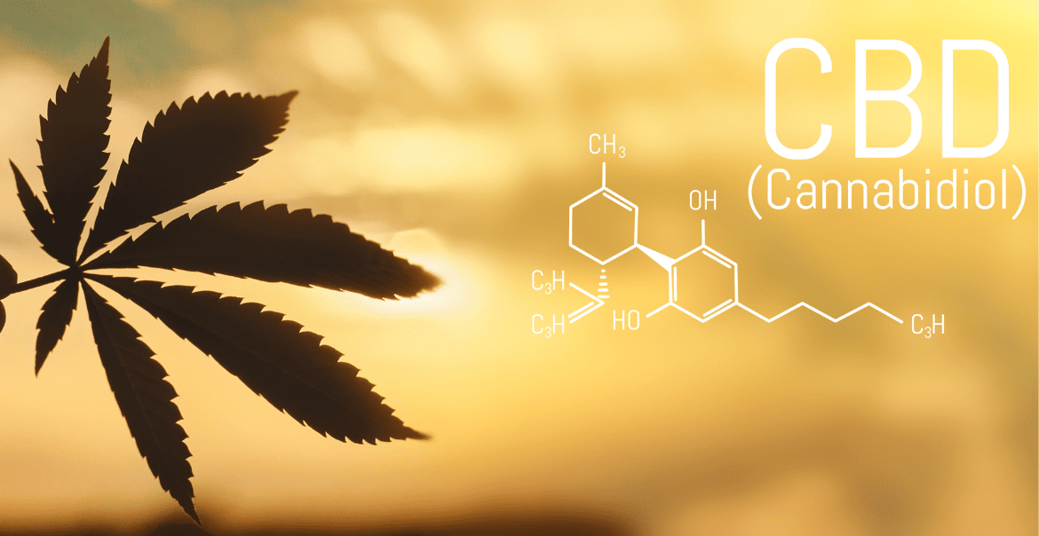 Les nouveaux néo-cannabinoïdes : 10-oh-hhc, 8-oh-hhc, 10-oh-hhcp, Cbg9, CBNo et CBC