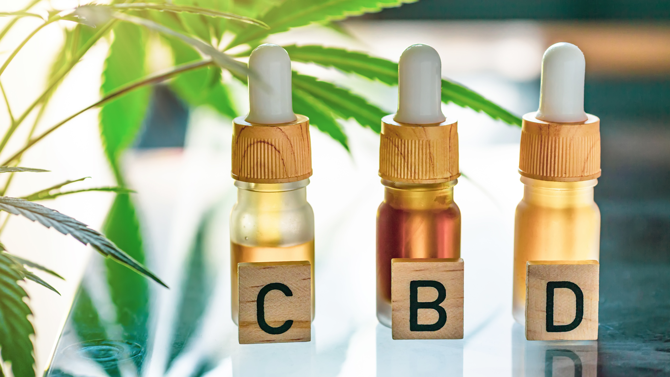 Ouvrir une Boutique CBD Rentable en 2026 : Produits, Marge et Choix du Grossiste