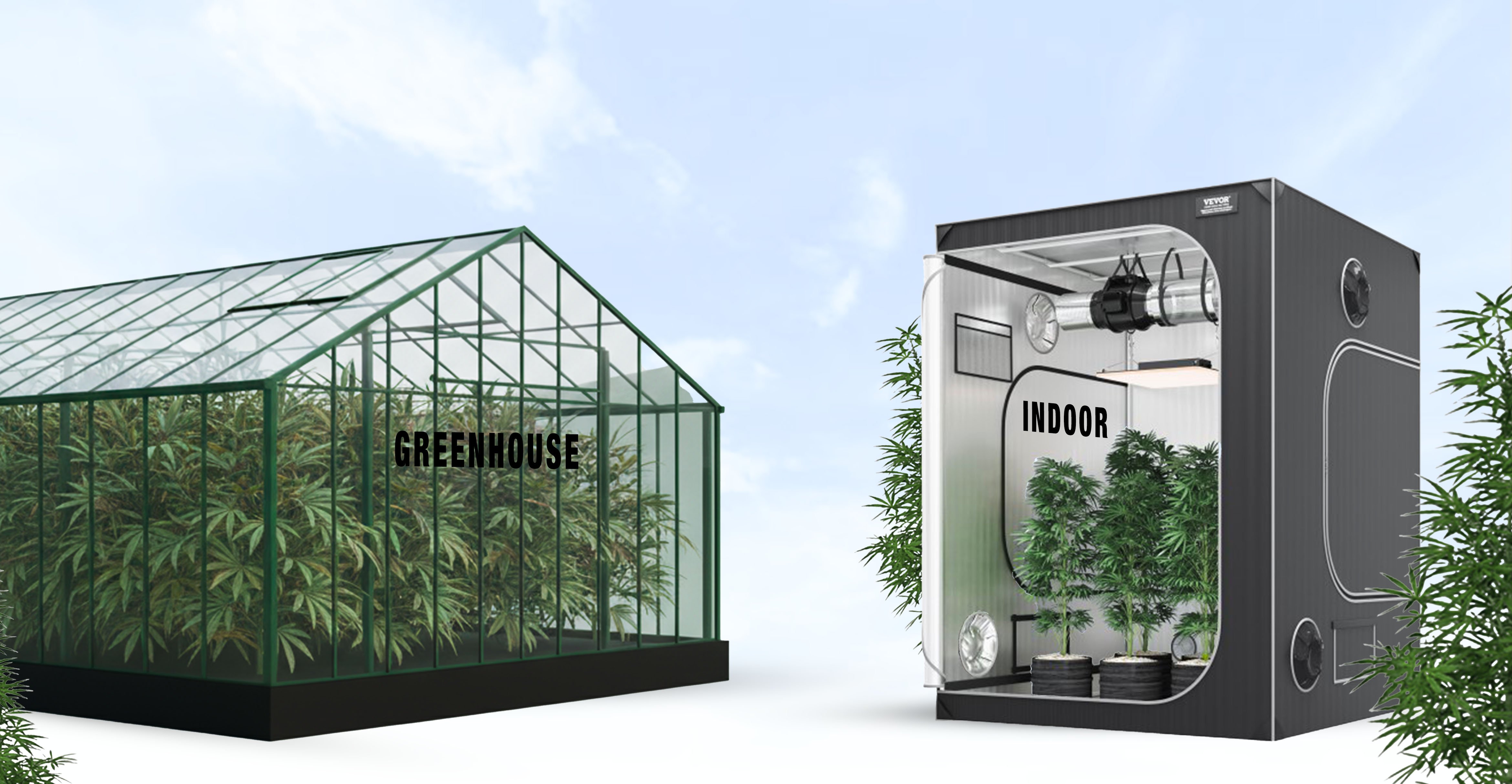 Fleur Greenhouse vs Indoor : que choisir pour votre clientèle ?
