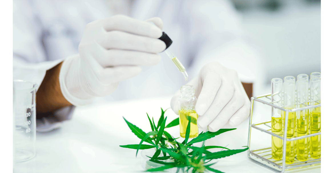 CBD-Analysezertifikat (COA): So lesen Sie es vor dem Großhandelseinkauf