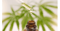 Les meilleures huiles CBD pour la revente : comment choisir une gamme rentable et efficace