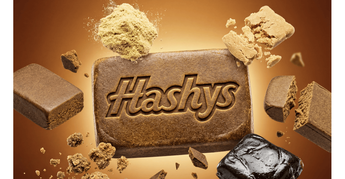 HASHYS : laboratoire français spécialisé dans la fabrication de hash premium CBD
