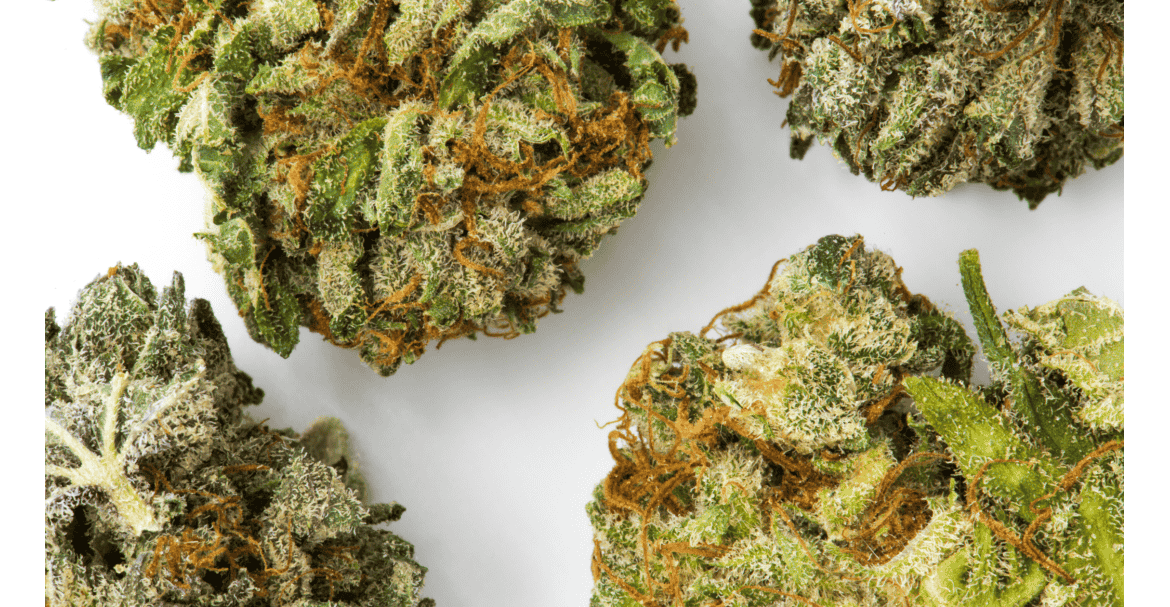Neo cannabinoïdes CBD : une opportunité stratégique pour les professionnels