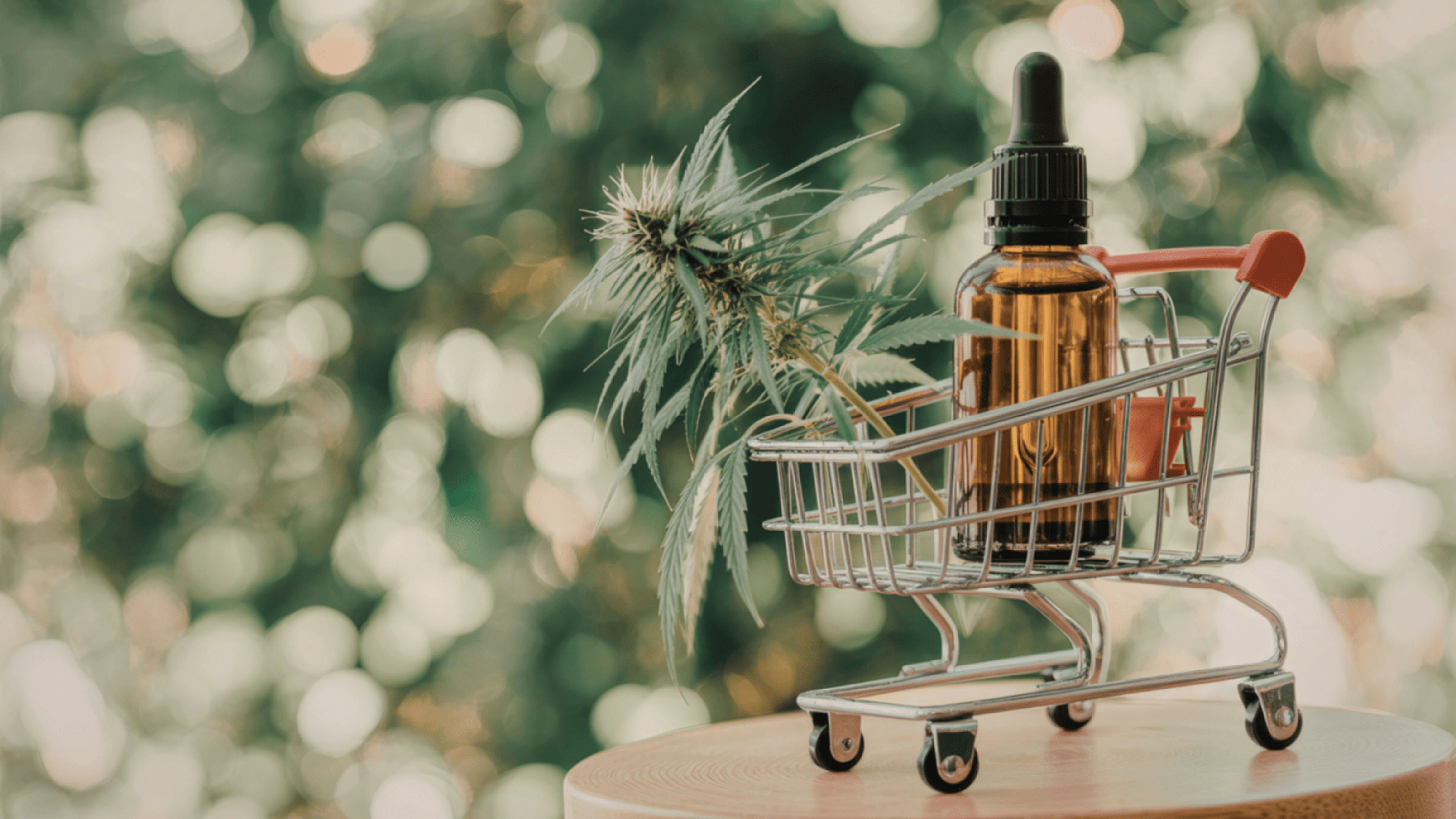 Ouvrir une boutique CBD : stratégie, fournisseur et marge pour réussir en 2026