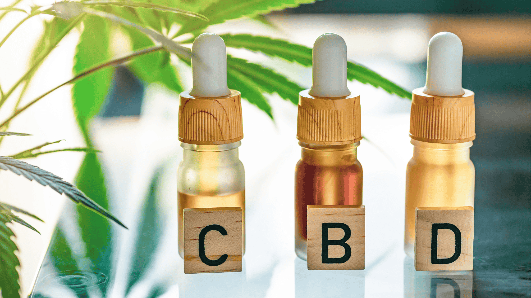 Quels produits CBD mettre en avant selon la saison pour vendre plus en boutique