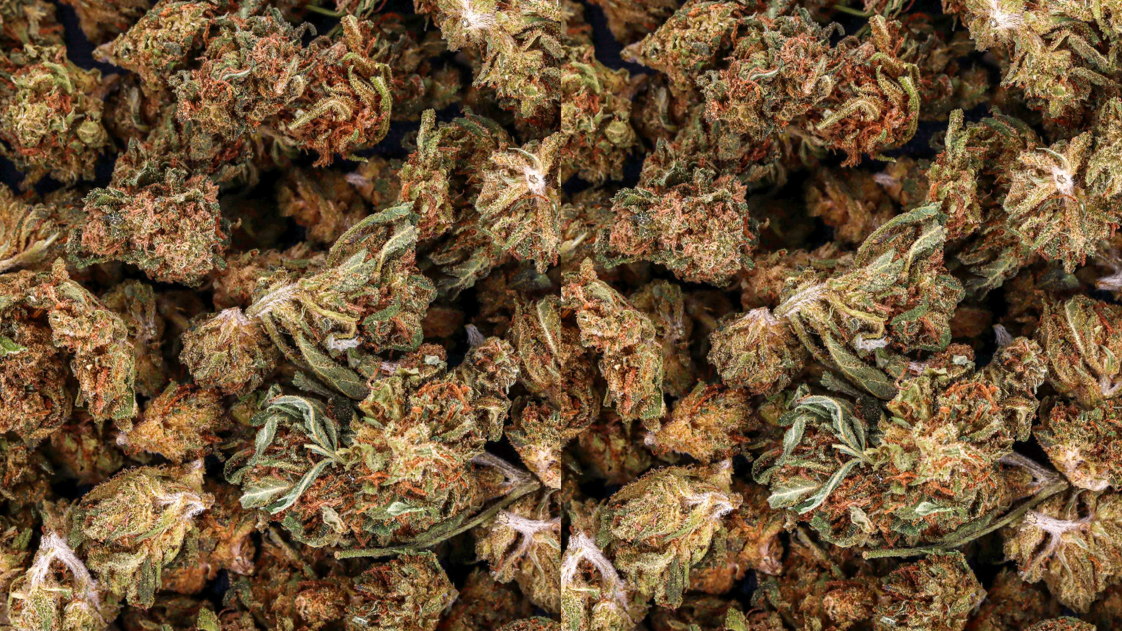 Small Bud en gros : opportunité ou simple alternative tarifaire ?